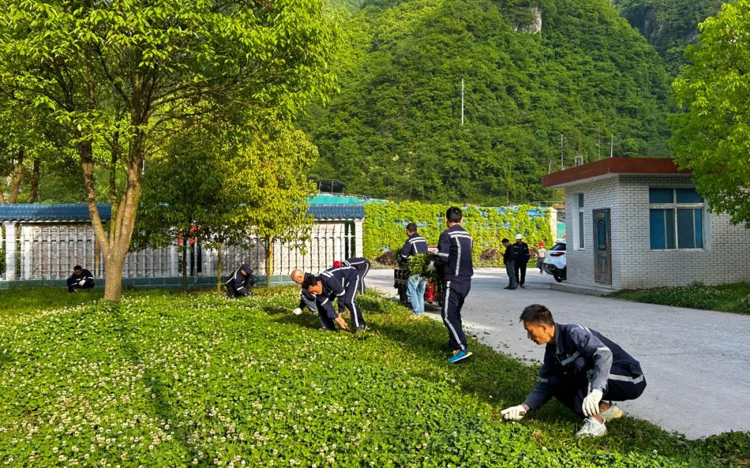 宜化礦業：倡導綠色低碳，守護美麗家園(圖3)